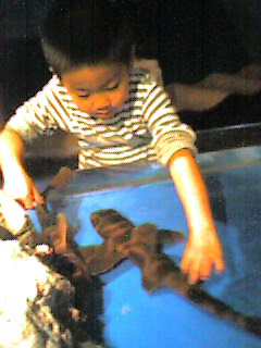 0609231.jpg